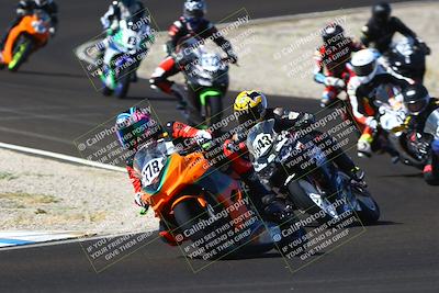 media/Sep-07-2025-CRA (Sun) [[6d6582c22b]]/Race 2/